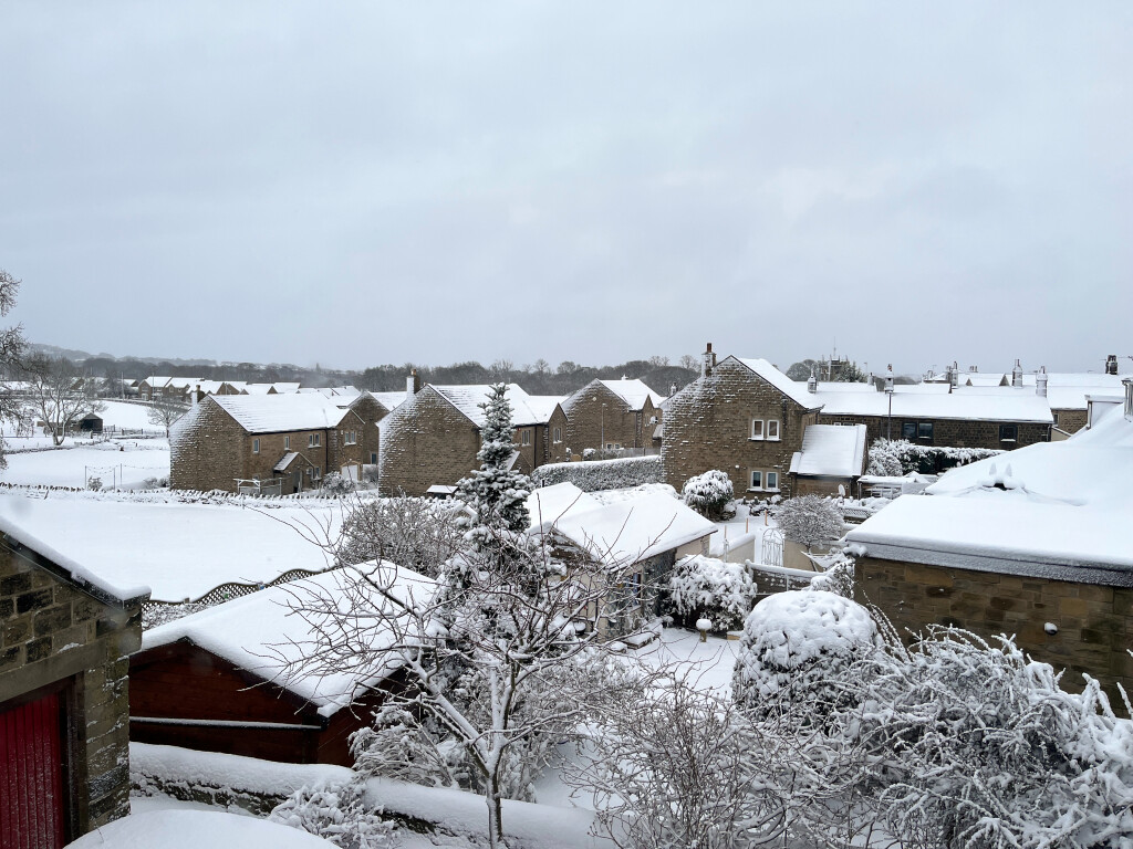 Snowy Guiseley